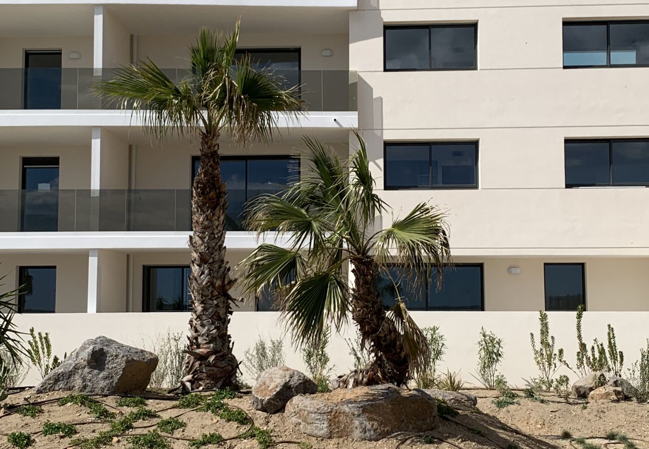 Appartement à Valras-Plage - Vue mer : agréable appartement pour 2 personnes (429697)